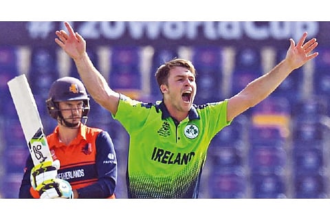 Curtis Campher was the gamechanger for Ireland