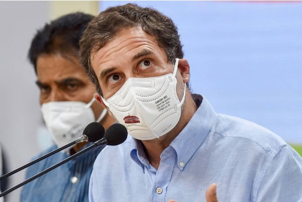 Former Party Chief Rahul Gandhi (Image credit: PTI)