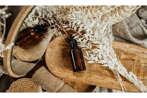 Image Courtesy: IANS