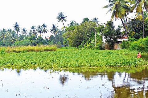 Surplus water on Vellore?Bengaluru highway flowed out inundating 10 acres of brinjal and groundnut