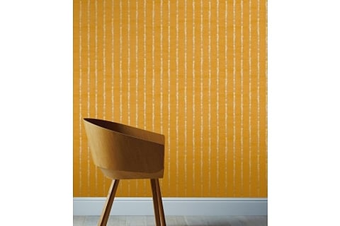 Image Courtesy: IANS