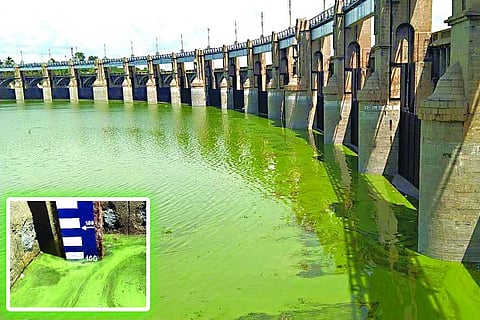 Stanley Reservoir in Mettur