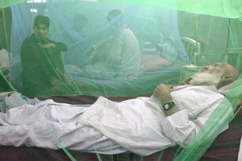 Image courtesy: IANS