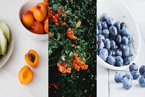 Representative Image: IANS