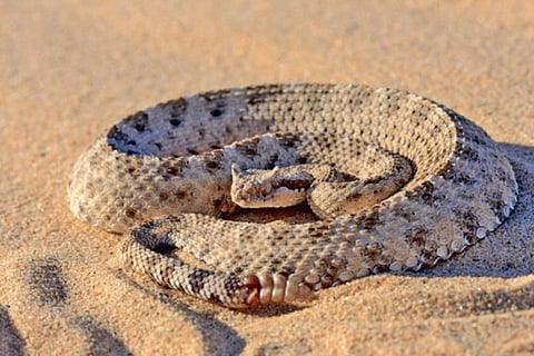 Representative Image.