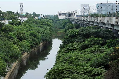 Buckingham Canal. File photo