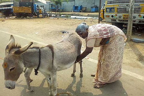 Rani of Pallavaram does business for four hours daily (File photo)