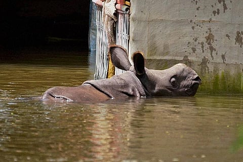 Representative image.