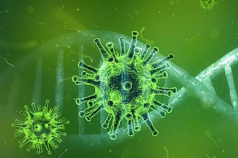 Representative image