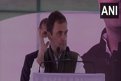 Congress leader Rahul Gandhi (Photo/ANI)