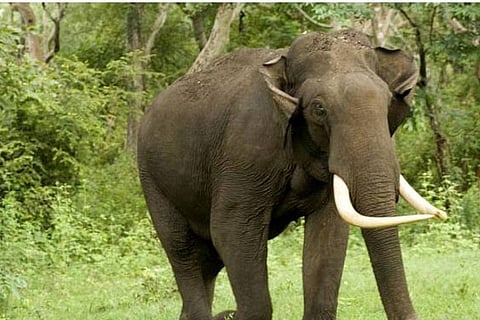 Representative Image