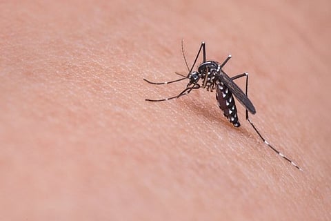 Representative image (Source: ANI)