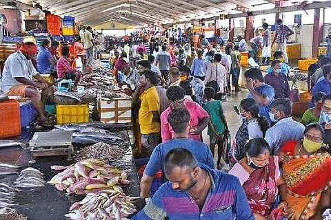 Kasimedu market