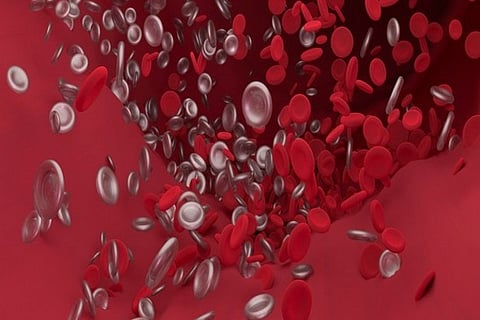 Representative Image (Image Credit: ANI)