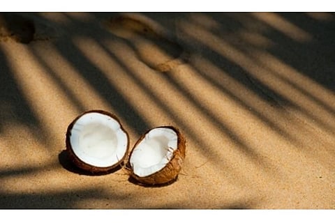 Image Courtesy: IANS