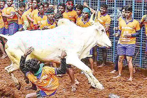 Representative image.