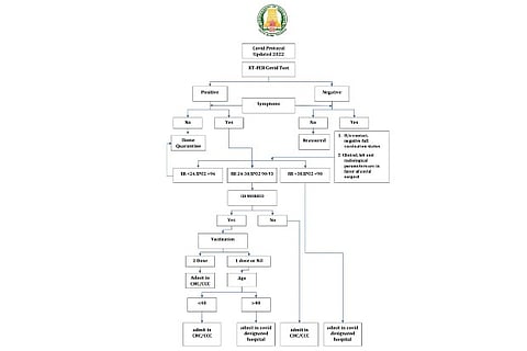 Revised guidelines issued by TN Health Dept
