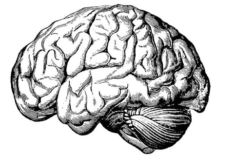 Representative image(Image Credit: ANI)