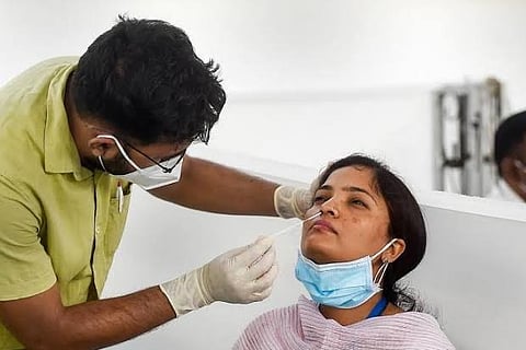 A health worker taking a swab sample (Representative Image)