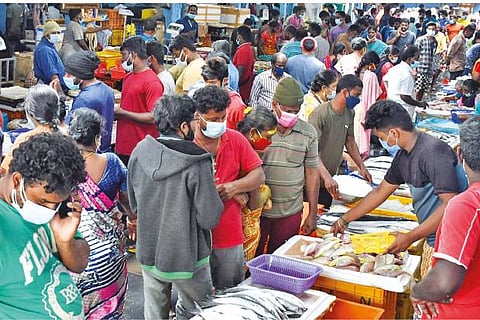 The crowd at Chintadripet fish market on Saturday