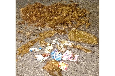 Plastic waste in dung