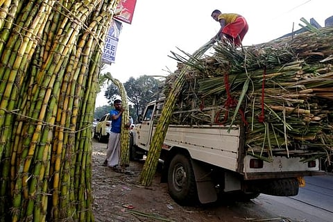 Koyambedu market seeing an increase but the sale of sugarcane is yet to pick up (Credit: Reuters)