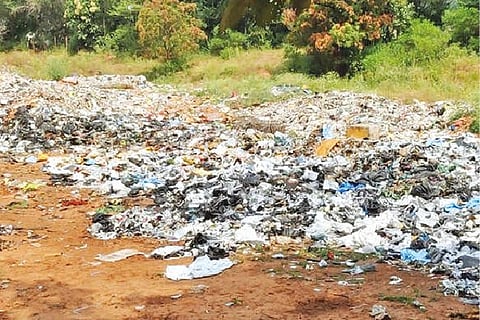 Garbage strewn around the forest area near Coimbatore