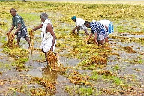 Government bowing to their demand provided compensation for crop loss due to the recent monsoon