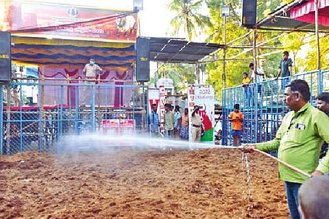 A worker watering the coir laid for jallikattu at Avaniyapuram
