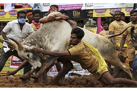 Representative Image  (Image Courtesy: AP)