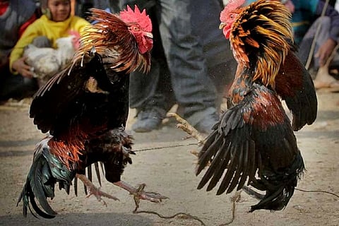 Representative image