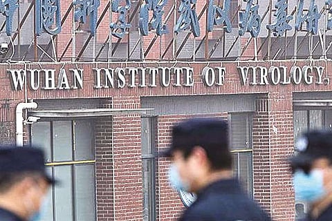 Wuhan Institute of Virology (WIV)