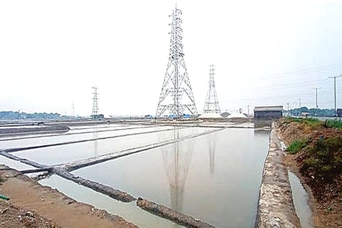 An inundated salt pan in Thoothukudi (File Photo)