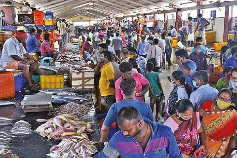 Kasimedu fish market. File photo