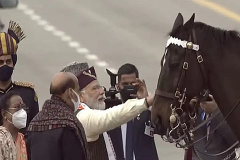 President?s Bodyguard horse Virat retires from service today (Credit: ANI)