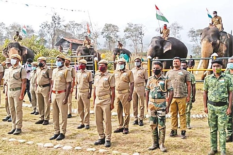 Elephants lined up during Republic Day celebrations at MTR
