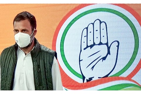 Rahul Gandhi (Image Courtesy: PTI)