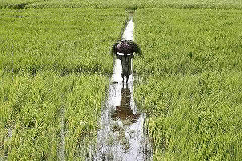 Representative image: Reuters