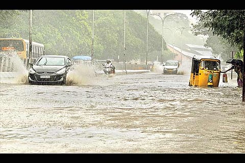 Photo- J Gnana Jain/TM Govinda Raj