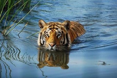 Representation Image