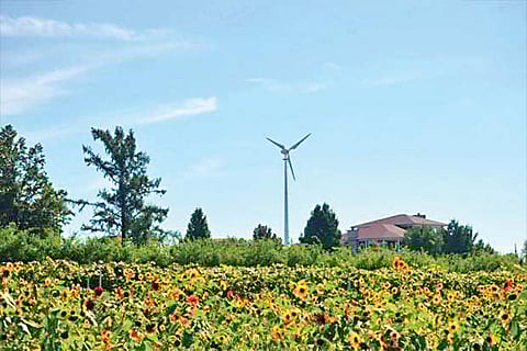 File photo of a wind turbine installed in a farm