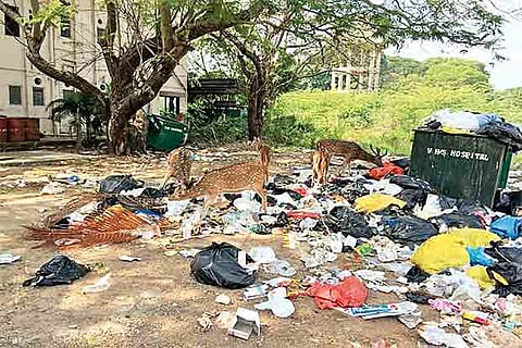A representative image of bio-medical waste.