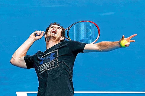 Andy Murray during his semifinal victory in Melbourne