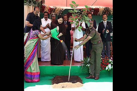 CM Jayalalithaa watering a sapling after planting it at the  Police Commissioner?s Office