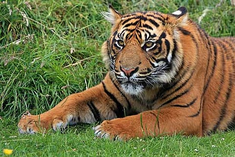 The above picture is a representational image