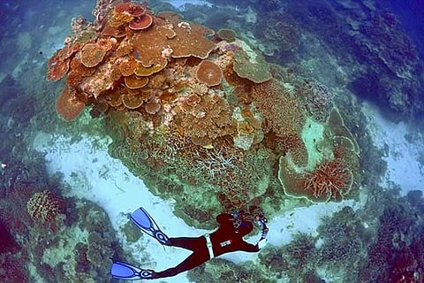 Representative Image for underwater