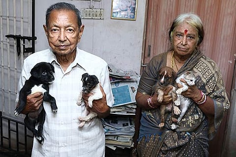 Narasimhamoorthy and Padmavathy run AWPT that houses stray animals (Photo: Prakaash)