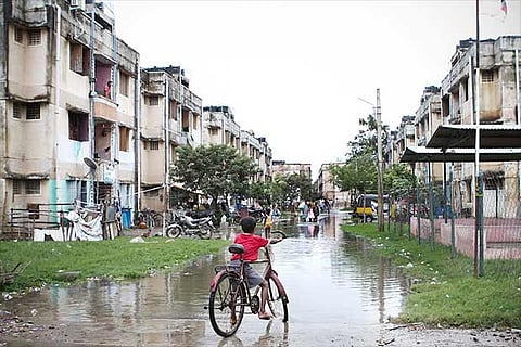 The photo is for representation purpose (Photo: emmadavies.photoshelter.com)