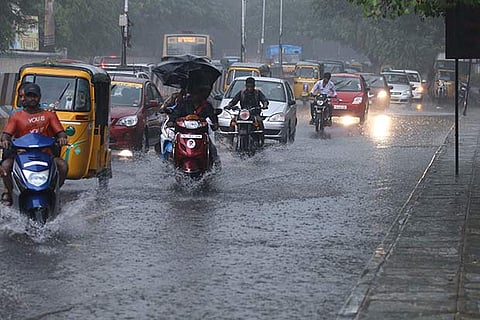 TN Rain