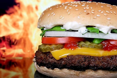 Eating fatty food in youth may up breast cancer risk